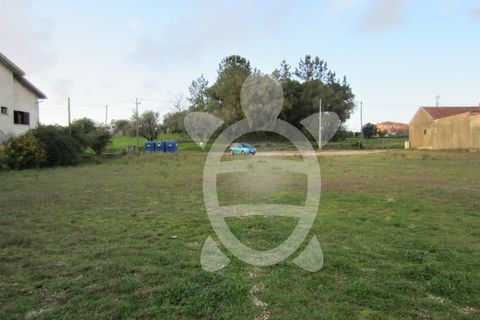 Helårsgrund i Cantanhede, Coimbra, Cantanhede - € 79.900 | Ref: ff0901 - foto 3