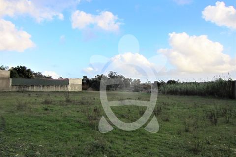 Helårsgrund i Cantanhede, Coimbra, Cantanhede - € 79.900 | Ref: ff0901 - foto 4
