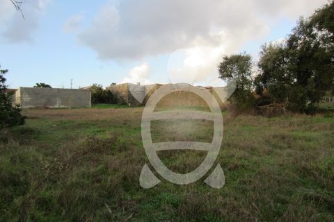 Helårsgrund i Cantanhede, Coimbra, Cantanhede - € 79.900 | Ref: ff0901 - foto 5