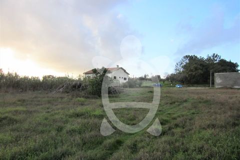 Helårsgrund i Cantanhede, Coimbra, Cantanhede - € 79.900 | Ref: ff0901 - foto 6