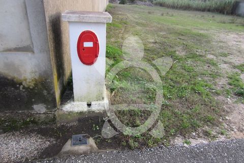 Helårsgrund i Cantanhede, Coimbra, Cantanhede - € 79.900 | Ref: ff0901 - foto 7