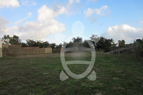 Helårsgrund i Cantanhede, Coimbra, Cantanhede - € 79.900 | Ref: ff0901 - foto 9