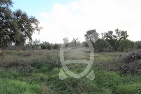 Helårsgrund i Cantanhede, Coimbra, Cantanhede - € 79.900 | Ref: ff0901 - foto 11