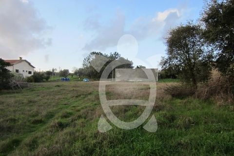 Helårsgrund i Cantanhede, Coimbra, Cantanhede - € 79.900 | Ref: ff0901 - foto 12