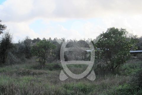 Helårsgrund i Cantanhede, Coimbra, Cantanhede - € 79.900 | Ref: ff0901 - foto 14