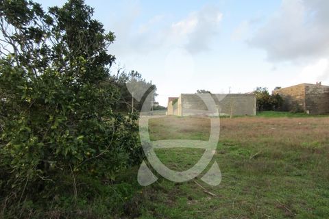 Helårsgrund i Cantanhede, Coimbra, Cantanhede - € 79.900 | Ref: ff0901 - foto 15