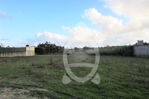 Helårsgrund i Cantanhede, Coimbra, Cantanhede - € 79.900 | Ref: ff0901 - foto 16