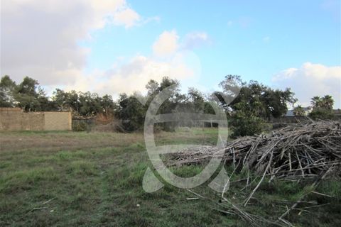 Helårsgrund i Cantanhede, Coimbra, Cantanhede - € 79.900 | Ref: ff0901 - foto 17