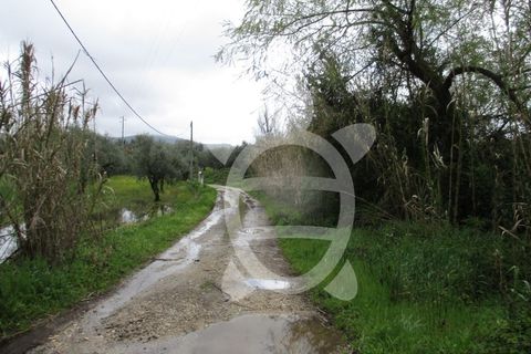 Helårsgrund i Coimbra, Coimbra, Coimbra - € 42.000 | Ref: cdx0173 - foto 2