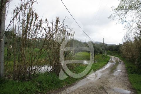 Helårsgrund i Coimbra, Coimbra, Coimbra - € 42.000 | Ref: cdx0173 - foto 3