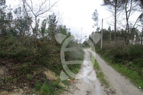 Helårsgrund i Coimbra, Coimbra, Coimbra - € 42.000 | Ref: cdx0173 - foto 4