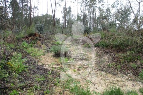 Helårsgrund i Coimbra, Coimbra, Coimbra - € 42.000 | Ref: cdx0173 - foto 5