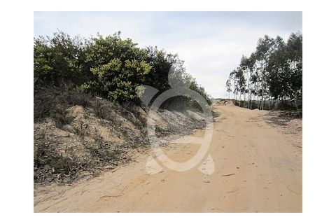 Terra a Vila Verde, Coimbra, Vila Verde - € 37.000 | Ref: ff0317 - foto 3