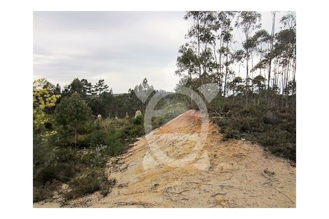 Terra a Vila Verde, Coimbra, Vila Verde - € 37.000 | Ref: ff0317 - foto 5