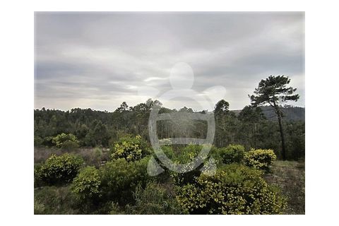 Terra a Vila Verde, Coimbra, Vila Verde - € 37.000 | Ref: ff0317 - foto 6