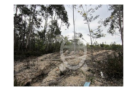 Terra a Vila Verde, Coimbra, Vila Verde - € 37.000 | Ref: ff0317 - foto 8