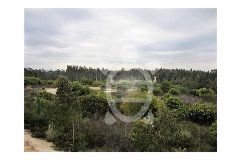 Terra a Vila Verde, Coimbra, Vila Verde - € 37.000 | Ref: ff0317 - foto 9