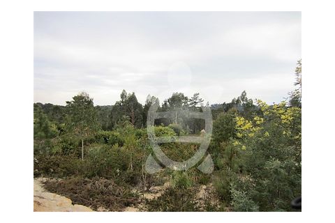 Terra a Vila Verde, Coimbra, Vila Verde - € 37.000 | Ref: ff0317 - foto 10