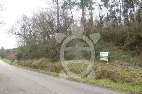 Tomt i Soure, Coimbra, Soure - € 70 000 | Ref: cdx0165 - foto 3