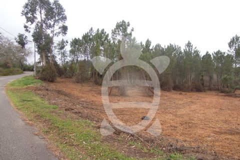Tomt i Soure, Coimbra, Soure - € 70 000 | Ref: cdx0165 - foto 6