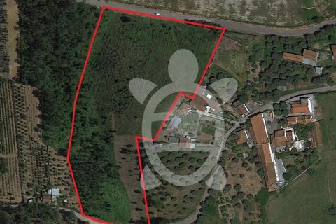 Tomt i Soure, Coimbra, Soure - € 70 000 | Ref: cdx0165 - foto 2