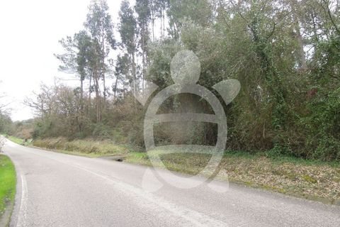 Tomt i Soure, Coimbra, Soure - € 70 000 | Ref: cdx0165 - foto 7