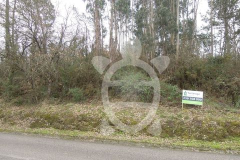Tomt i Soure, Coimbra, Soure - € 70 000 | Ref: cdx0165 - foto 8