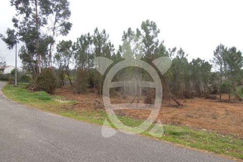 Tomt i Soure, Coimbra, Soure - € 70 000 | Ref: cdx0165 - foto 9