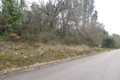Tomt i Soure, Coimbra, Soure - € 70 000 | Ref: cdx0165 - foto 5