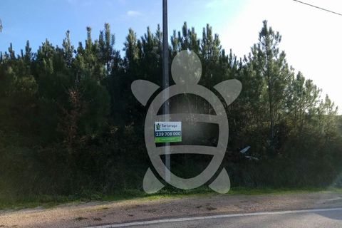 Helårsgrund i Tavarede, Coimbra, Tavarede - € 129.000 | Ref: ff0212 - foto 3