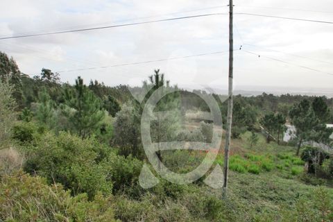Helårsgrund i Tavarede, Coimbra, Tavarede - € 129.000 | Ref: ff0212 - foto 6