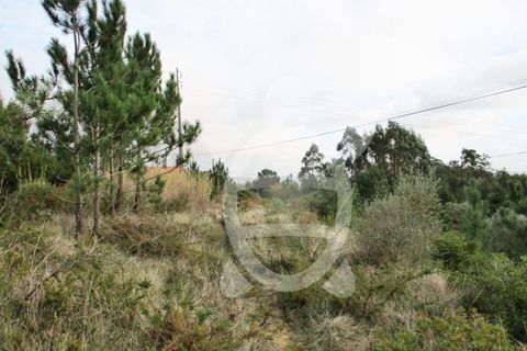 Helårsgrund i Tavarede, Coimbra, Tavarede - € 129.000 | Ref: ff0212 - foto 7