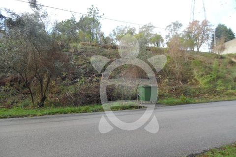 Helårsgrund i Coimbra, Coimbra, Coimbra - € 60.000 | Ref: cbr1328 - foto 2