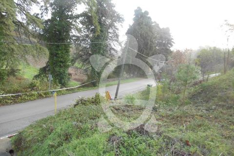 Helårsgrund i Coimbra, Coimbra, Coimbra - € 60.000 | Ref: cbr1328 - foto 4
