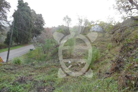 Helårsgrund i Coimbra, Coimbra, Coimbra - € 60.000 | Ref: cbr1328 - foto 5