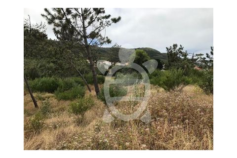 Helårsgrund i Quiaios, Coimbra, Quiaios - € 129.000 | Ref: ff0096 - foto 2