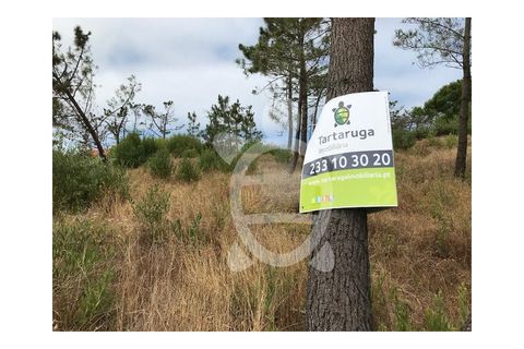 Helårsgrund i Quiaios, Coimbra, Quiaios - € 129.000 | Ref: ff0096 - foto 3