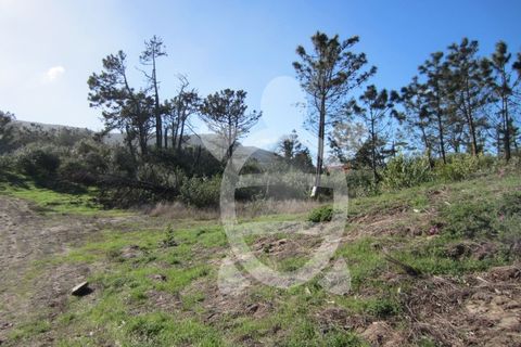 Helårsgrund i Quiaios, Coimbra, Quiaios - € 129.000 | Ref: ff0096 - foto 4