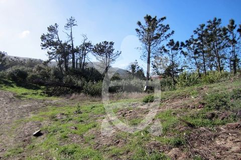 Helårsgrund i Quiaios, Coimbra, Quiaios - € 129.000 | Ref: ff0096 - foto 5