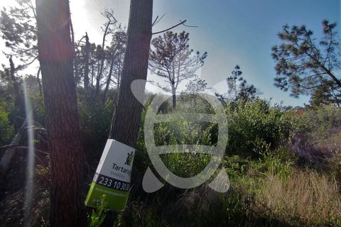 Helårsgrund i Quiaios, Coimbra, Quiaios - € 129.000 | Ref: ff0096 - foto 6