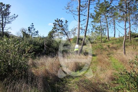 Helårsgrund i Quiaios, Coimbra, Quiaios - € 129.000 | Ref: ff0096 - foto 7