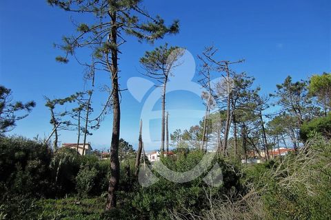 Helårsgrund i Quiaios, Coimbra, Quiaios - € 129.000 | Ref: ff0096 - foto 8