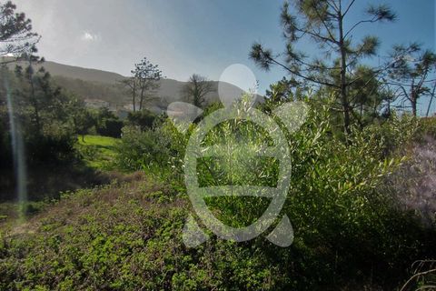 Helårsgrund i Quiaios, Coimbra, Quiaios - € 129.000 | Ref: ff0096 - foto 9