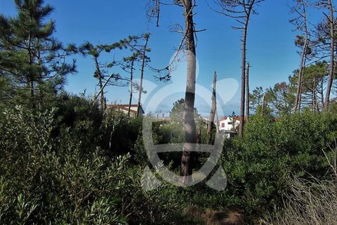 Helårsgrund i Quiaios, Coimbra, Quiaios - € 129.000 | Ref: ff0096 - foto 12