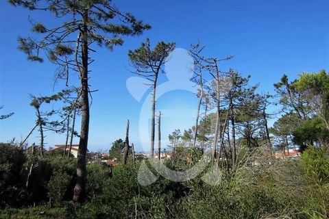 Helårsgrund i Quiaios, Coimbra, Quiaios - € 129.000 | Ref: ff0096 - foto 13