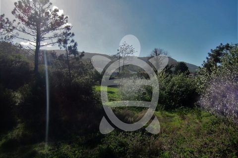 Helårsgrund i Quiaios, Coimbra, Quiaios - € 129.000 | Ref: ff0096 - foto 14
