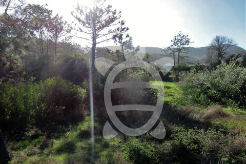 Helårsgrund i Quiaios, Coimbra, Quiaios - € 129.000 | Ref: ff0096 - foto 15