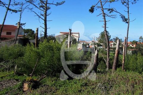 Helårsgrund i Quiaios, Coimbra, Quiaios - € 129.000 | Ref: ff0096 - foto 16