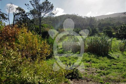 Helårsgrund i Quiaios, Coimbra, Quiaios - € 129.000 | Ref: ff0096 - foto 17