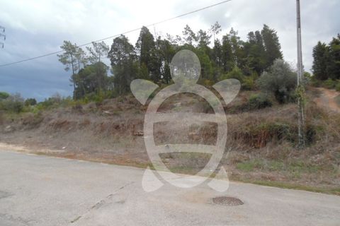 Helårsgrund i Assafarge e Antanhol, Coimbra, Assafarge e Antanhol - € 49.500 | Ref: cbr1178 - foto 2